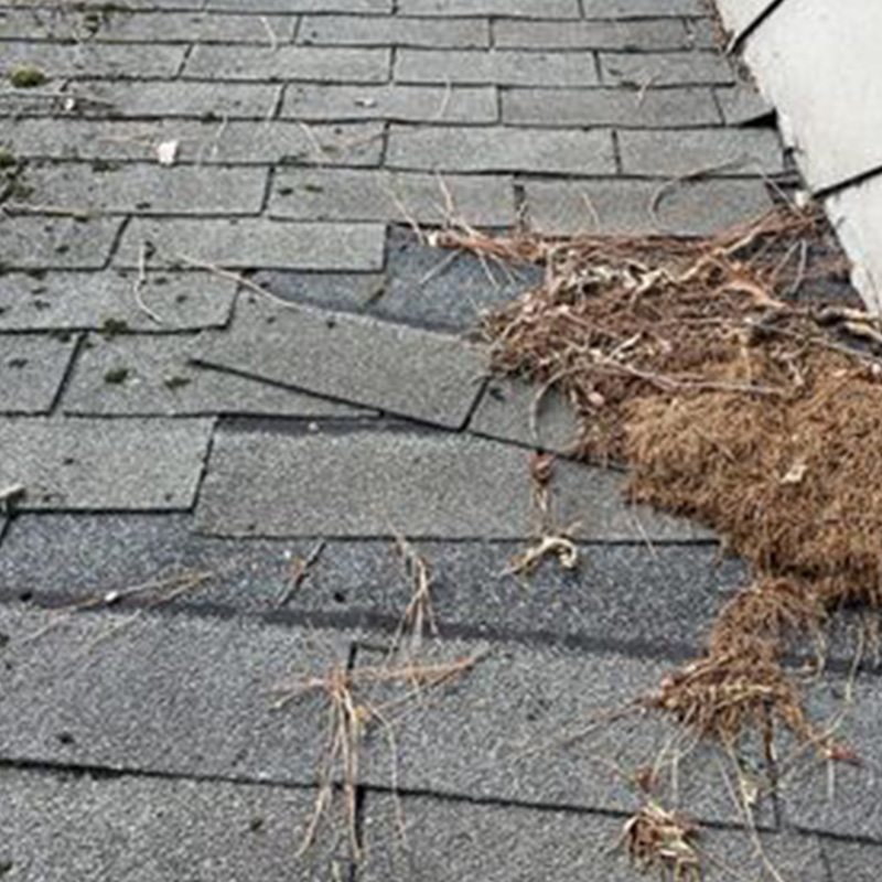 Damage