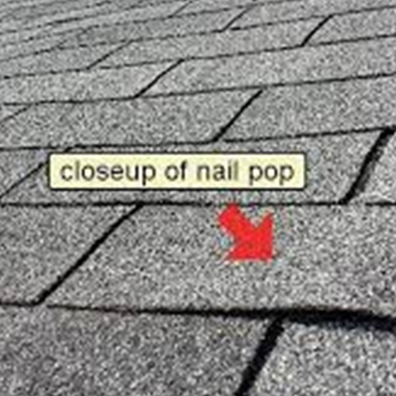 NailPop