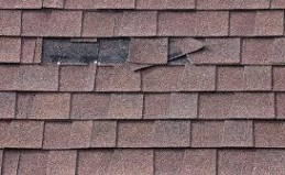 Broken Shingles