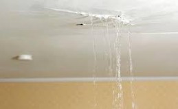 Roof Leaks
