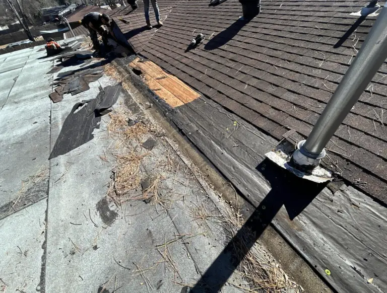 Most Collierville homeowners take their roof for granted and that’s completely understandable….