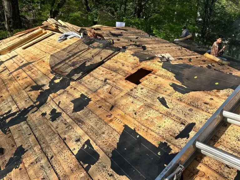 If there’s one takeaway every Memphis homeowner should understand about roof maintenance,…
