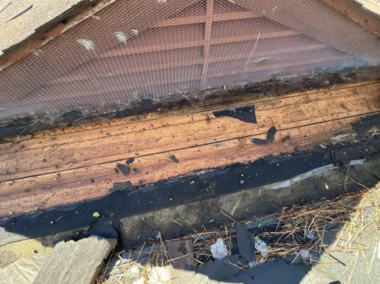 Beyond traditional Memphis roof repair services, Reborn Roofing LLC has expanded to…